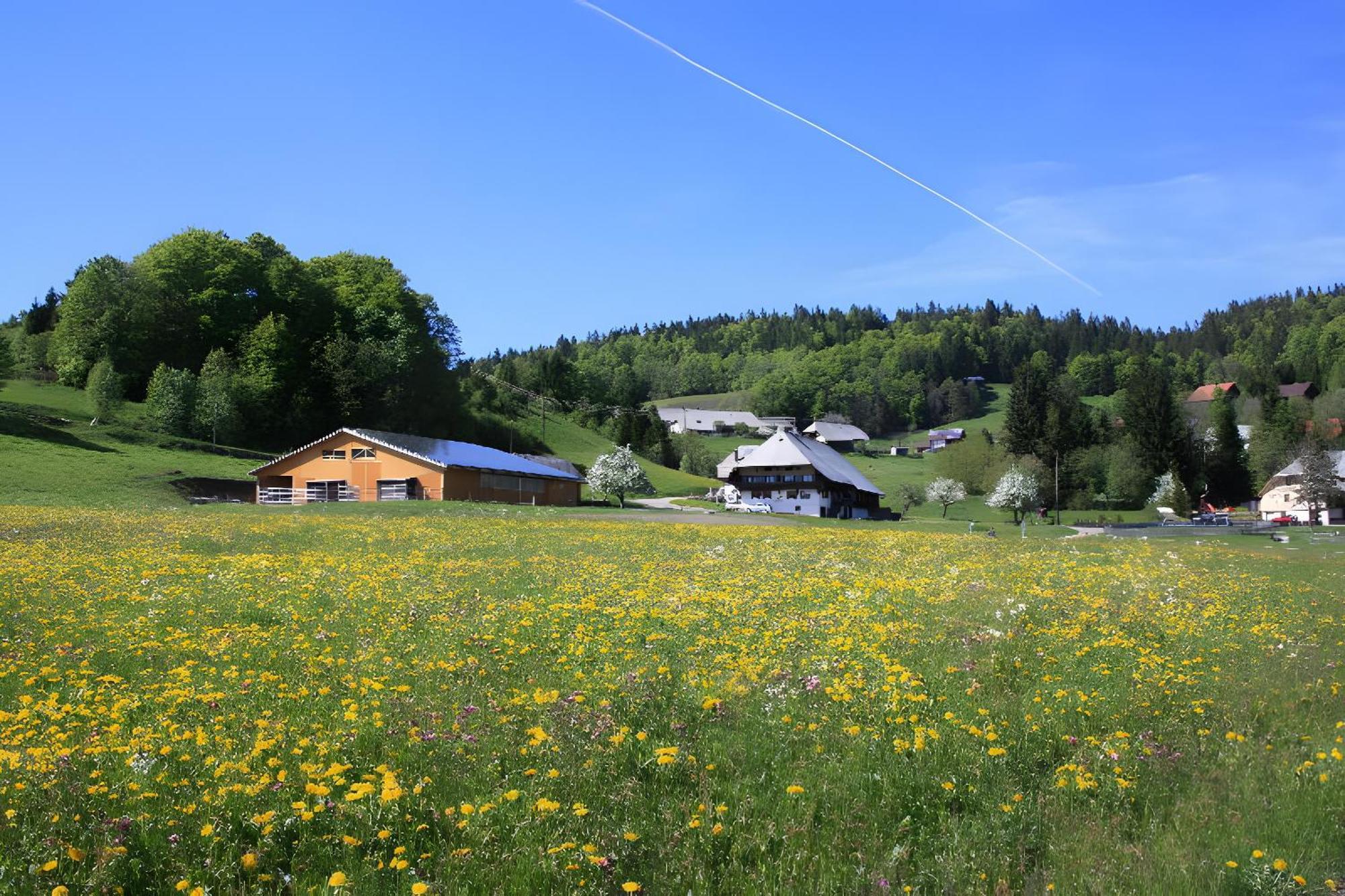 Buerschtehanse-Hof Ibach Eksteriør billede